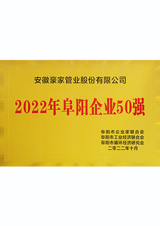 2022年阜阳企业50强